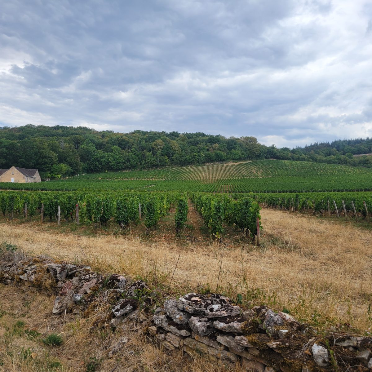 Tour des viticulteurs