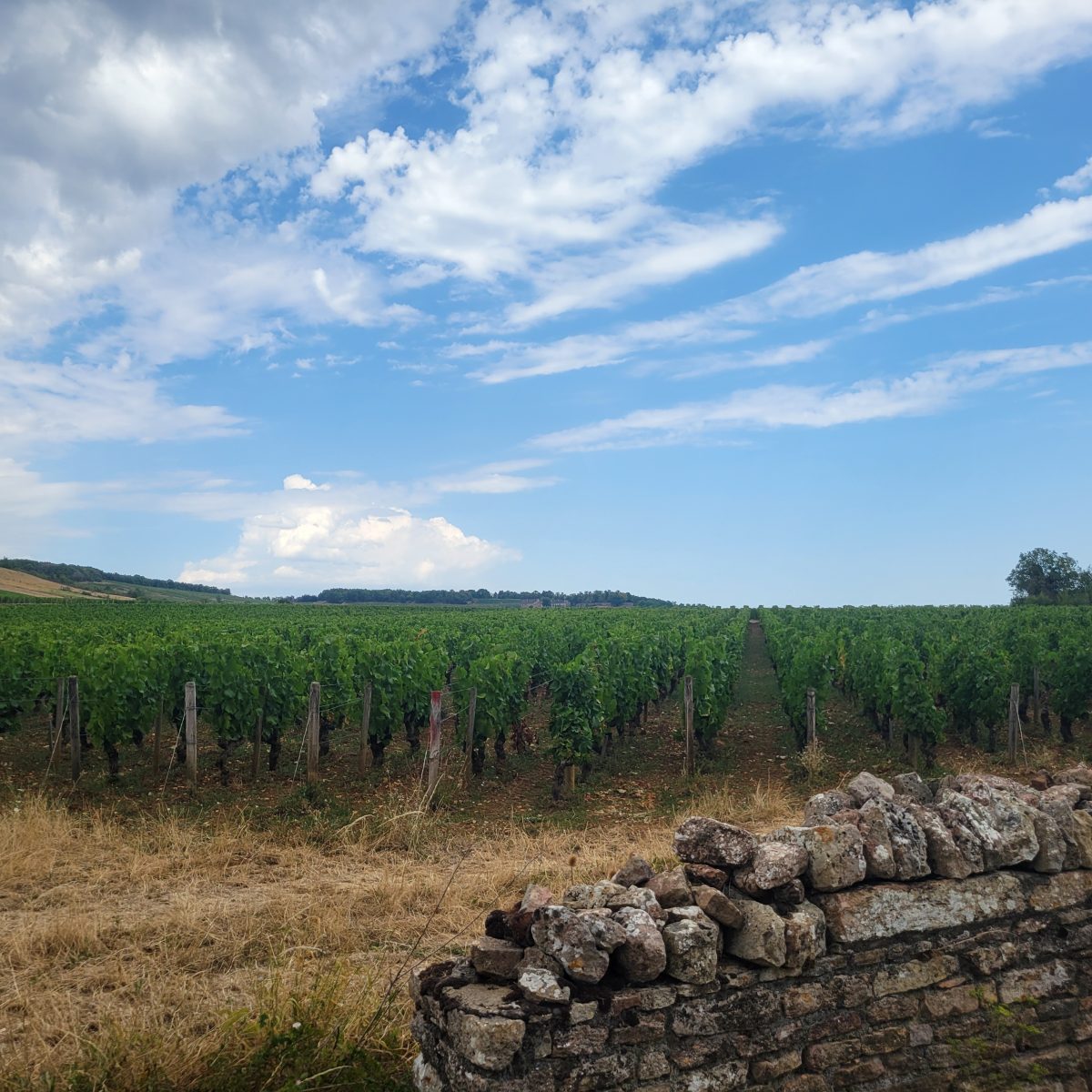 Tour des viticulteurs