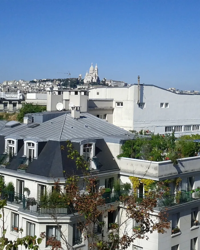 Vue sur les toits de Paris et la basilique du Sacré-Cœur à Montmartre, près du quartier Pigalle